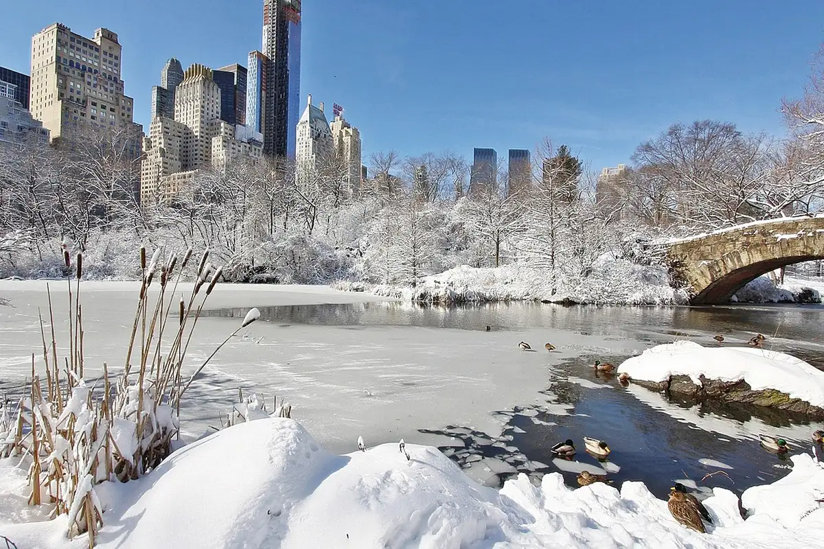 how-deep-does-a-pond-need-to-be-for-fish-to-survive-the-winter