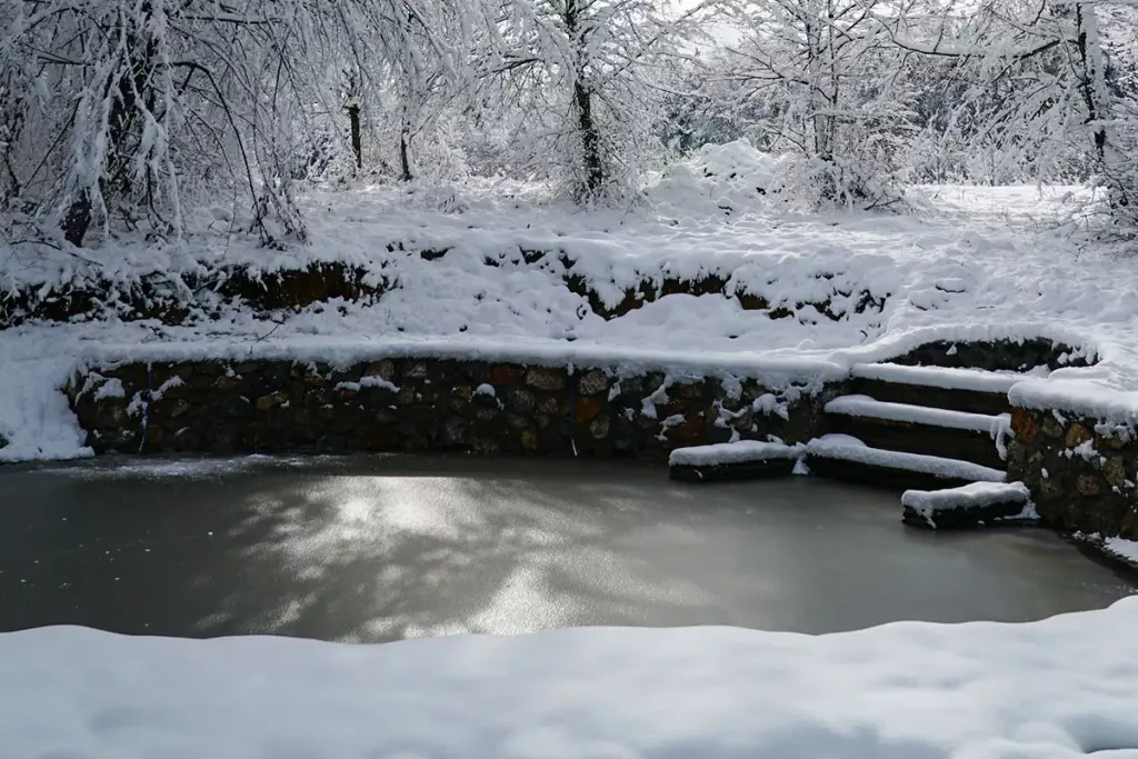 Pond In Winter