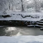 should i cover my pond in winter?