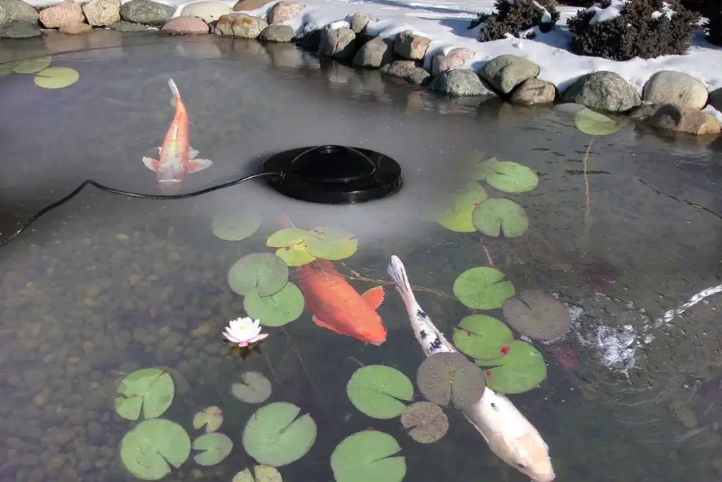 how-to-choose-the-right-pond-heater-for-your-koi-pond-winterize-guide