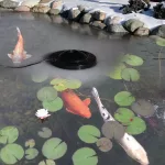 what size heater do I need for my koi pond