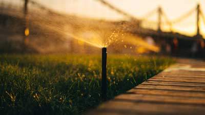 Lawn sprinkler at sunrise.